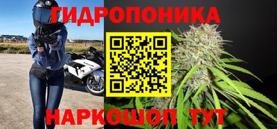 PSILOCYBIN Беслан