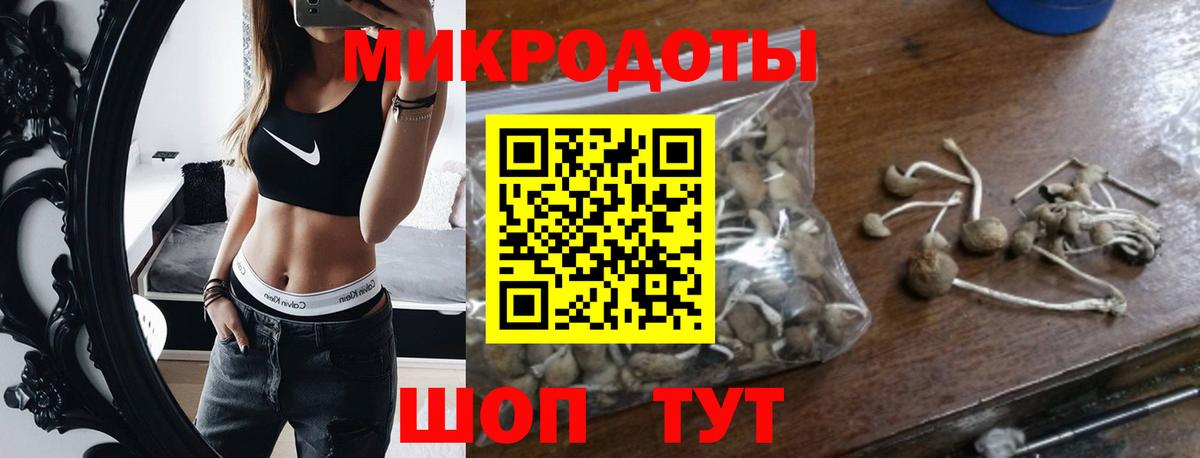 Псилоцибиновые грибы Psilocybine cubensis  Галлюциногенные грибы Psilocybe  Вход с VPN  Карталы 